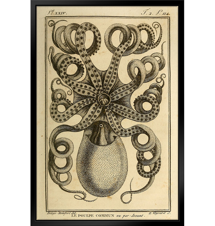 ATX Art Group LLC Vintage Octopus Framed On Canvas by Stanley Print